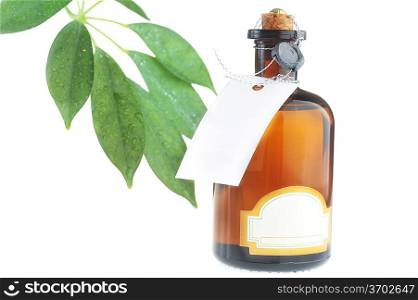 bottle with body oil and fresh green leaves