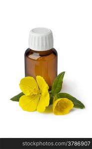 Bottle with Evening Primrose oil and fresh flower on white background