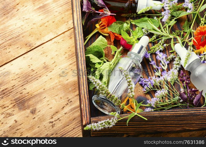 Bottles of essential oil with fresh herbs and flowers.Alternative healthy medicine. Essential oils with herbs and flowers