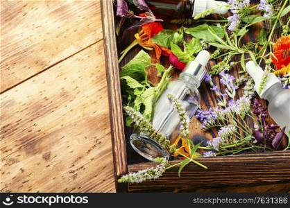 Bottles of essential oil with fresh herbs and flowers.Alternative healthy medicine. Essential oils with herbs and flowers
