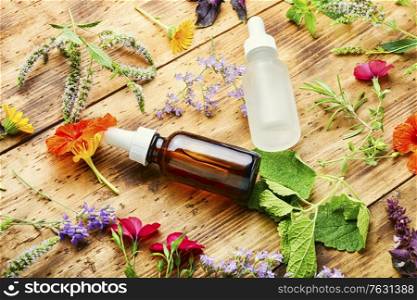Bottles of essential oil with fresh herbs and flowers.Alternative healthy medicine. Essential oils with herbs and flowers