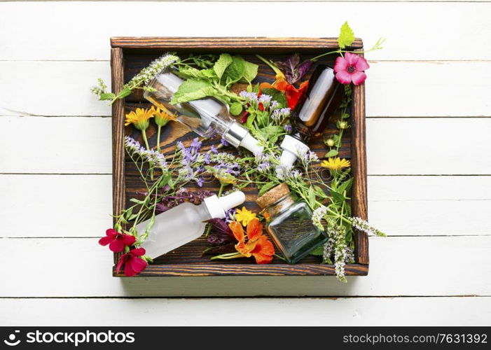 Bottles of essential oil with fresh herbs and flowers.Alternative healthy medicine. Essential oils with herbs and flowers