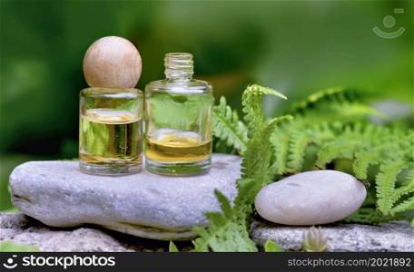 bottles of essential oils on a stone among green plant
