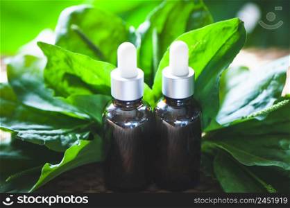 Bottles of plantain oil surrounded by leaves of plantain. Homeopathic and herbal medicine.
