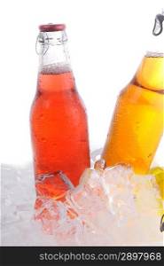 Bottles with tasty drink in ice