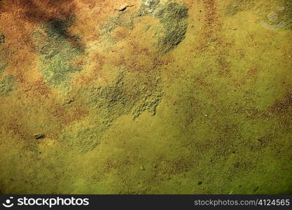 Bottom of a river texture, orange and green background, little stones with rusty sand and micro algae