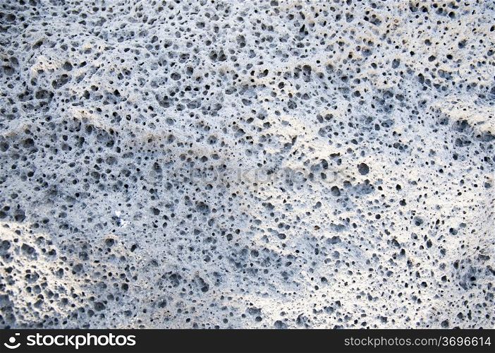 bottom of a rock with many pores white