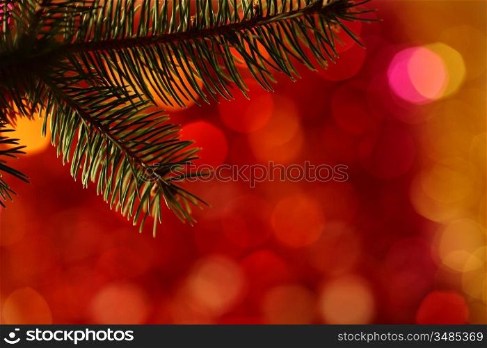 Bough of Christmas tree against blurred light background