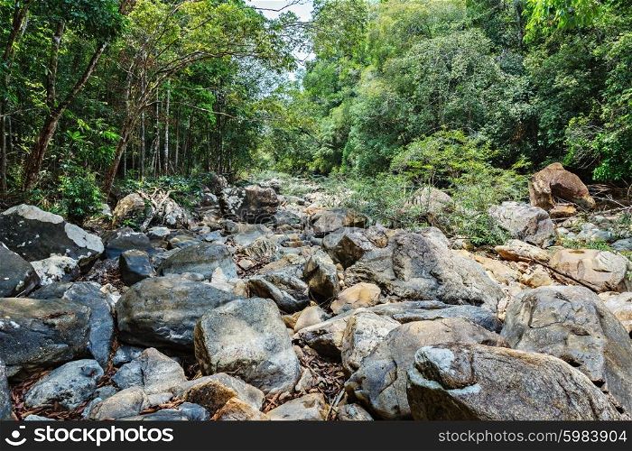 Boulders in the riverbed in the tropical jungles of South East Asia