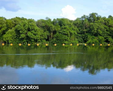 Boundary buoy for kindergarten sources Larvae on mangrove forest