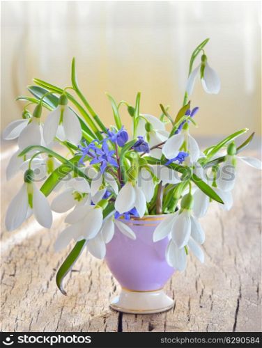 bouqet of snowdrops in vase on woody background