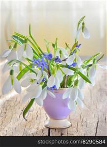 bouqet of snowdrops in vase on woody background