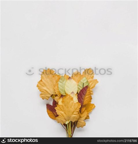 bouquet autumn leaves white background