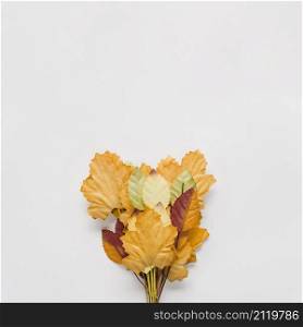 bouquet autumn leaves white background