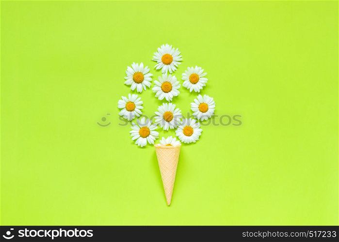 Bouquet chamomile daisies flowers in waffle ice cream cone on pastel green color paper background Template for postcard or your design Flat lay Top view Concept Hello summer Top-down composition.. Bouquet chamomile daisies flowers in waffle ice cream cone on pastel green color paper background Template for postcard or your design Flat lay Top view Concept Hello summer