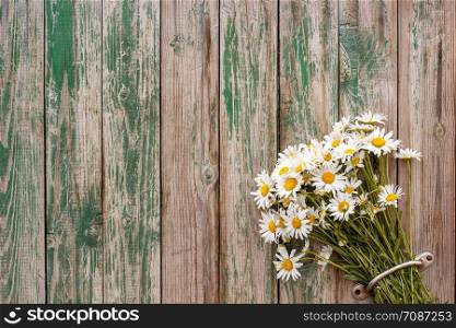 Bouquet chamomile daisies in door handle fence old wooden boards with peeling paint Rustic vintage background Copy space. Bouquet chamomile daisies in door handle fence old wooden boards