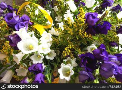 Bouquet flowers, purple yellow and white, close-up summer design. Bouquet flowers, purple yellow and white, close-up