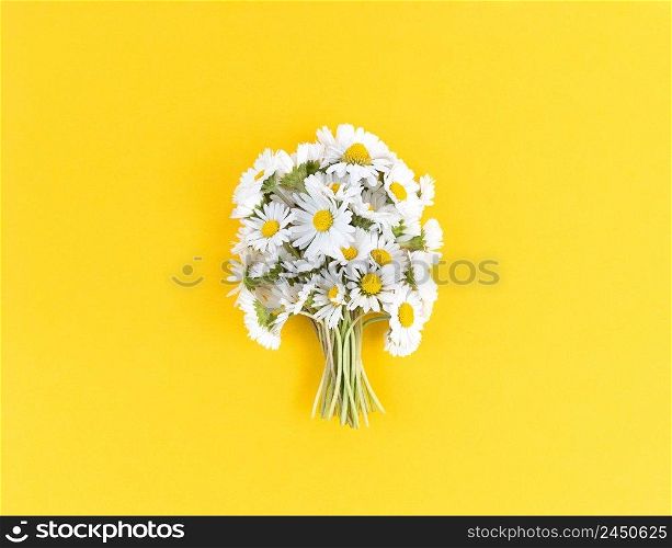 Bouquet from chamomile flowers on a yellow background.. Bouquet from chamomile flowers on yellow background.