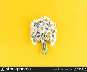 Bouquet from chamomile flowers on a yellow background.. Bouquet from chamomile flowers on yellow background.