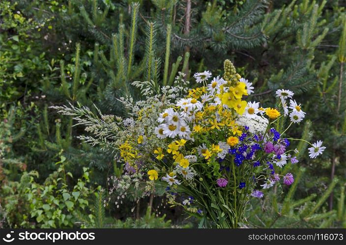 Bouquet from differently wildflowers in blooms, Plana mountain, Bulgaria