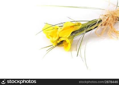 Bouquet from five yellow calla lilies isolated on white