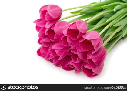 Bouquet from tulips flowers isolated on white