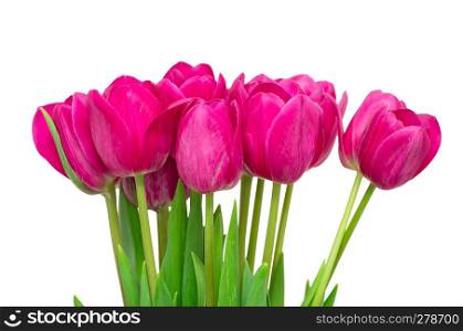 Bouquet from tulips flowers isolated on white