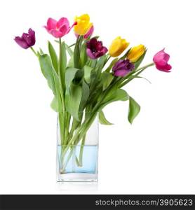bouquet from tulips in glass vase isolated on white