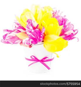 Bouquet from yellow and pink tulips on white. Bouquet from tulips