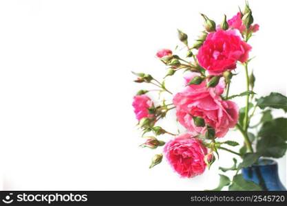 bouquet of a rose flowers isolated on white background.. bouquet of a rose flowers isolated on a white background.
