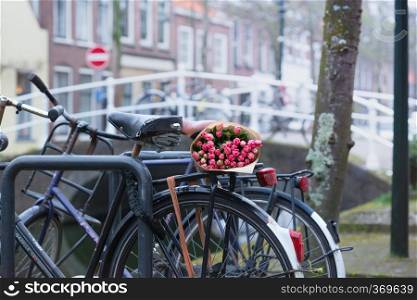 bouquet of beautiful pink tulips lie on the trunk of the bike. Amsterdam.  trip to the netherlands in spring 