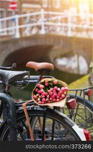 bouquet of beautiful pink tulips lie on the trunk of the bike. Amsterdam