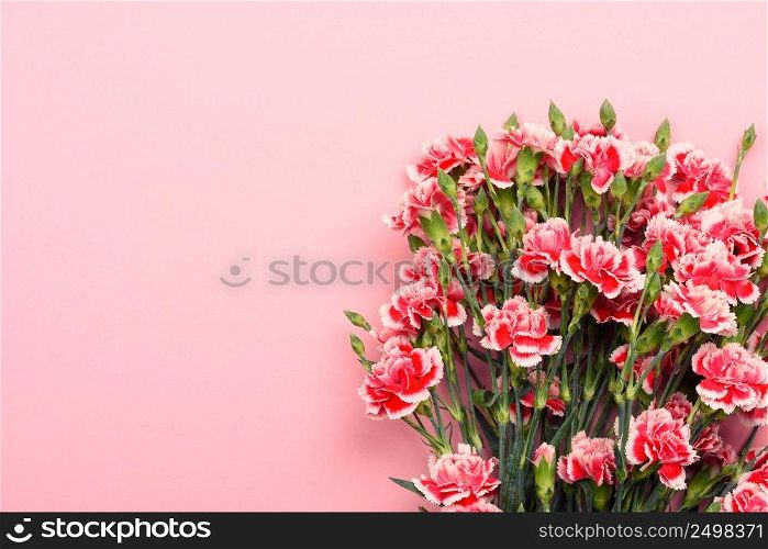 Bouquet of beautiful red and white carnation flowers on pastel pink background. Top view with copy space.