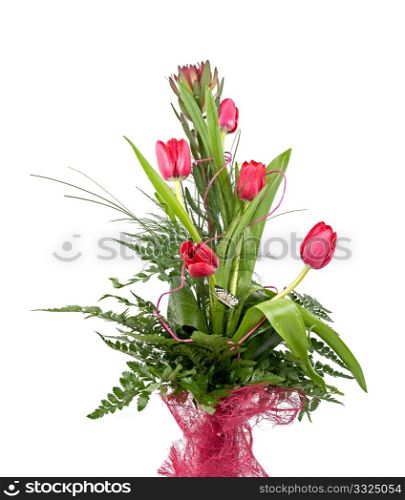 Bouquet of beautiful red tulips isolated on white background.