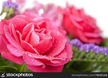 bouquet of beautiful wet roses isolated