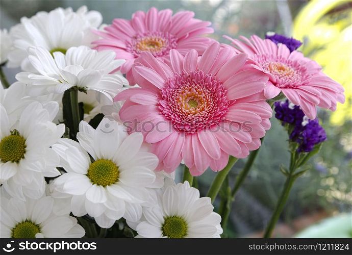 Bouquet of beautiful white, pink and lilac flowers