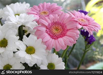Bouquet of beautiful white, pink and lilac flowers