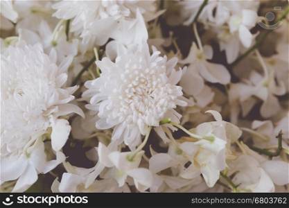 bouquet of blooming white flora flower