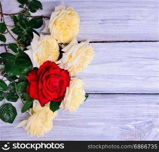 Bouquet of blooming yellow and red roses on a white wooden background, empty space right