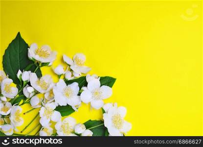 bouquet of blossoming jasmine with white flowers and green leaves on a yellow background, an empty space