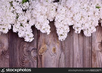 bouquet of blossoming white lilacs on a gray wooden surface, an empty space in the middle