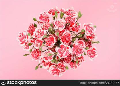 Bouquet of carnation flowers on pastel pink background top overhead view