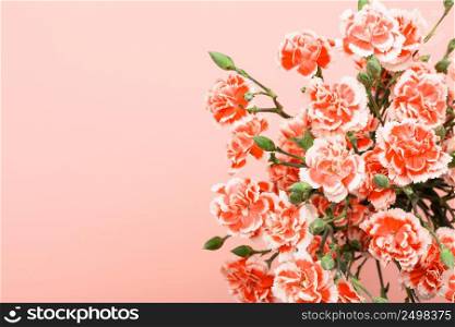 Bouquet of carnation flowers on pastel pink background top overhead view with copy space