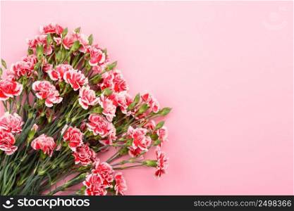 Bouquet of carnation flowers on pastel pink background. Top view with copy-space.