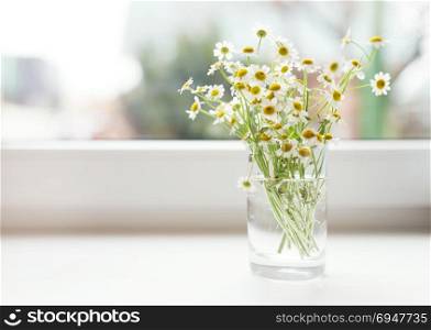 Bouquet of chamomiles flowers on the window sill