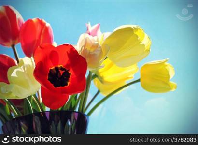 Bouquet of colorful bright tulips in a glass vase