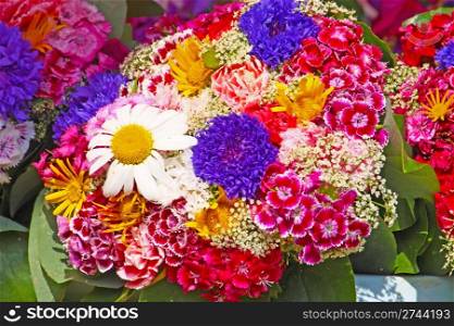 Bouquet of colorful seasonal flowers