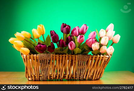 Bouquet of colorful tulips on the table