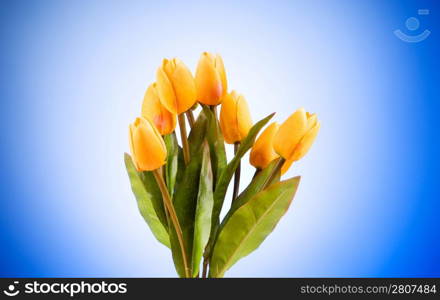 Bouquet of colorful tulips on the table