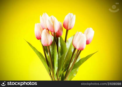 Bouquet of colorful tulips on the table